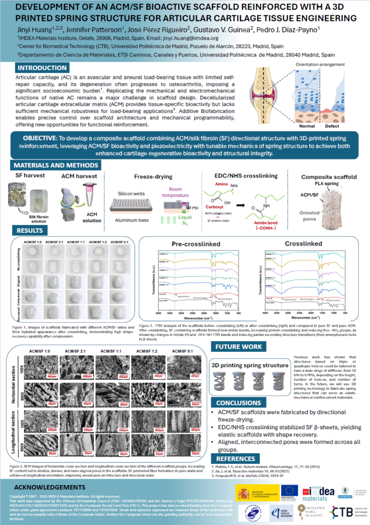 Development of an ECM/SF active scaffold for articular cartilage tissue engineering