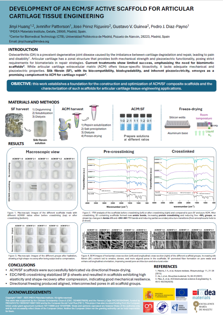 Hybrid ECM scaffolds reinforced with 3D-printed metallic coils for bone tissue engineering applications
