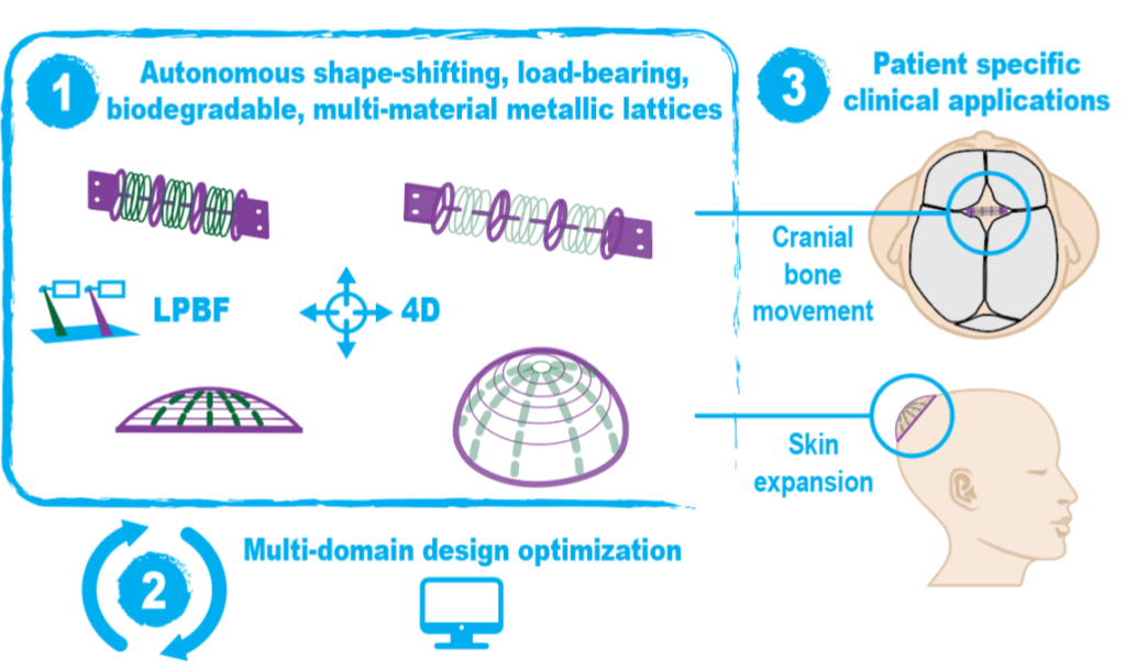 BIOMET4D) Smart 4D BIOdegradable METallic Shape-shifting Implants for  Dynamic Tissue Restoration